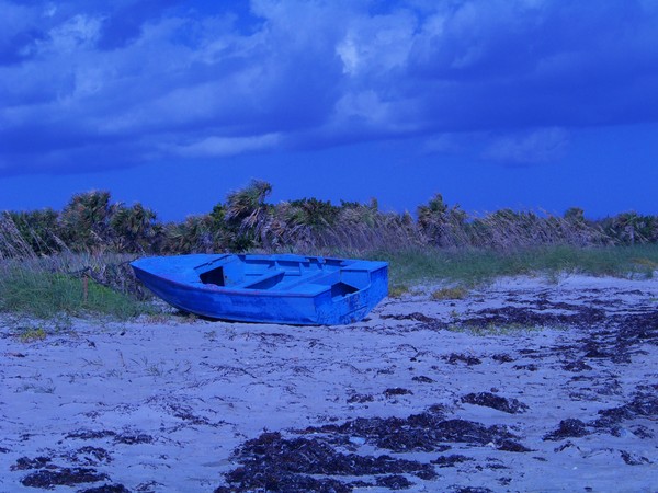 Beached