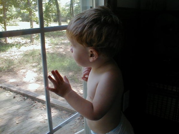 Nick Watching