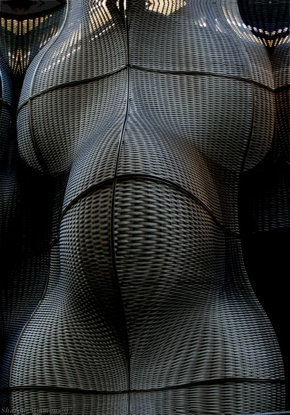 Sensual steel