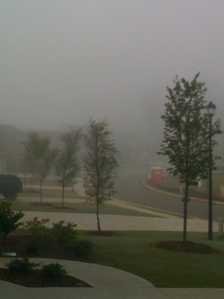 foggy pathway..