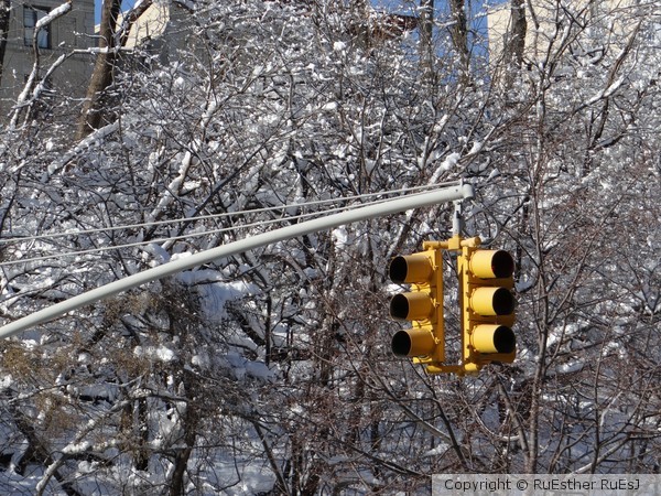 Red Light for Winter