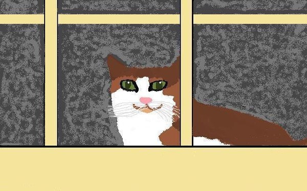 Tabby At Window