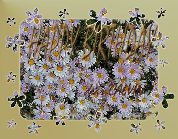 some springflowers for Calvin