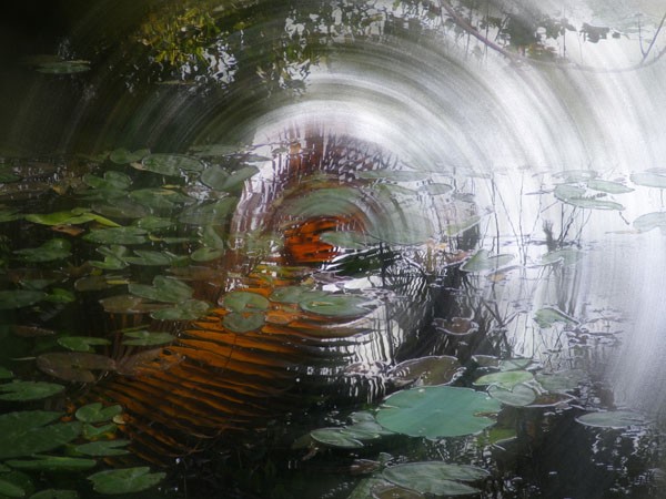 Dreamscape-1