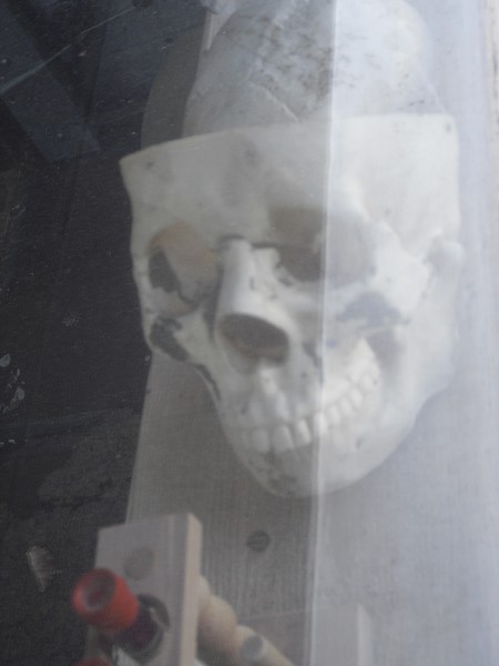Skull Bowls