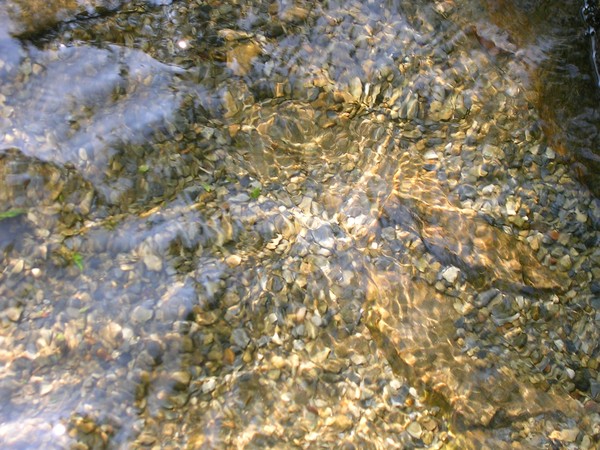 Flowing Waters