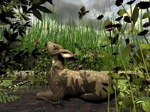 Fawn and Butterfly