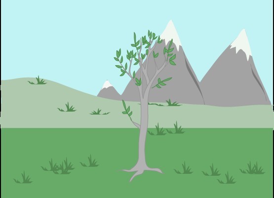another landscape
