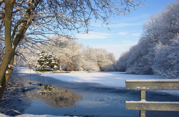 SNOW ON THE POND