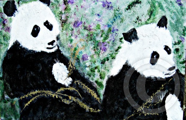 Pandas with Golden Bamboo