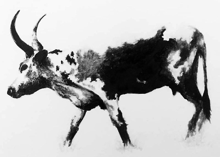 Nguni II