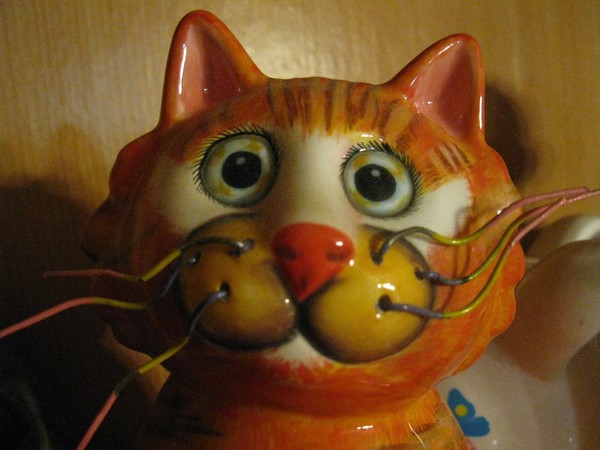 Got Nip?