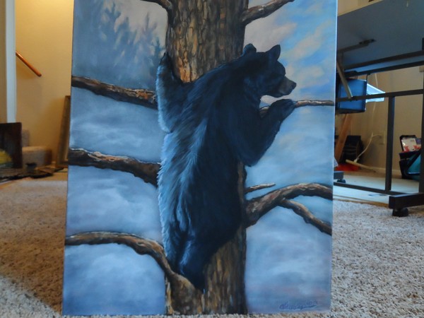 Out on a Limb
