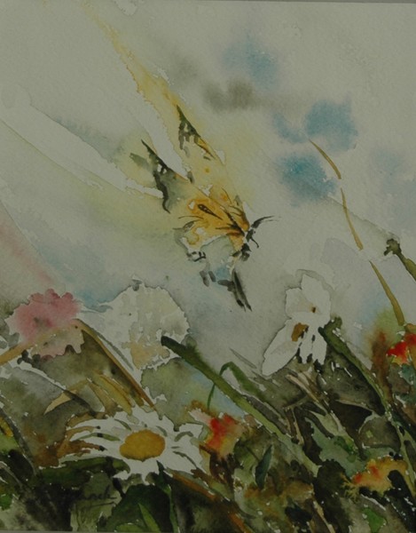 wind