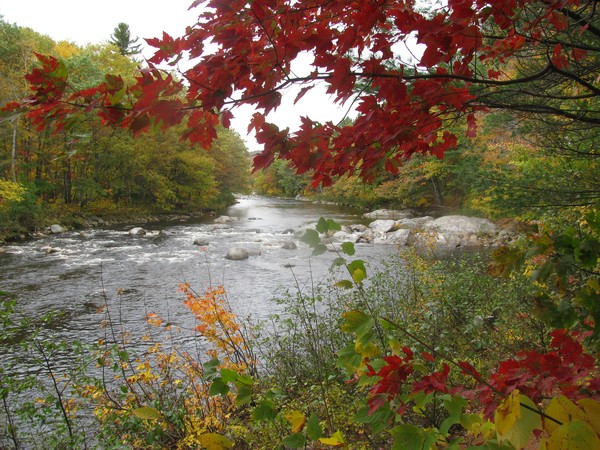 Fall view