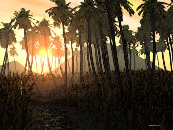 Oasis