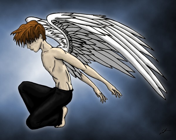 +Fallen+