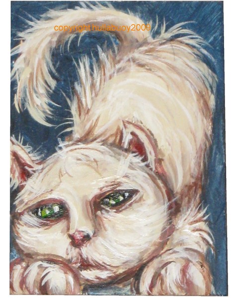 DIRTY KITTY