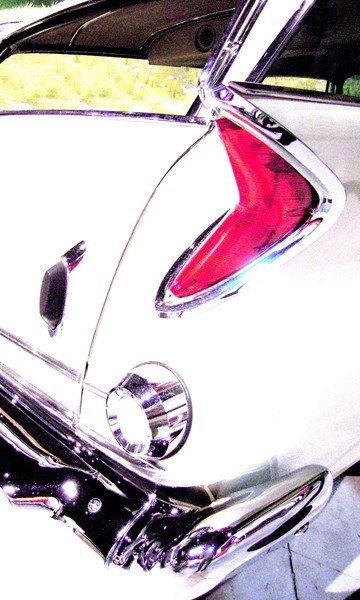 Wagon Fin