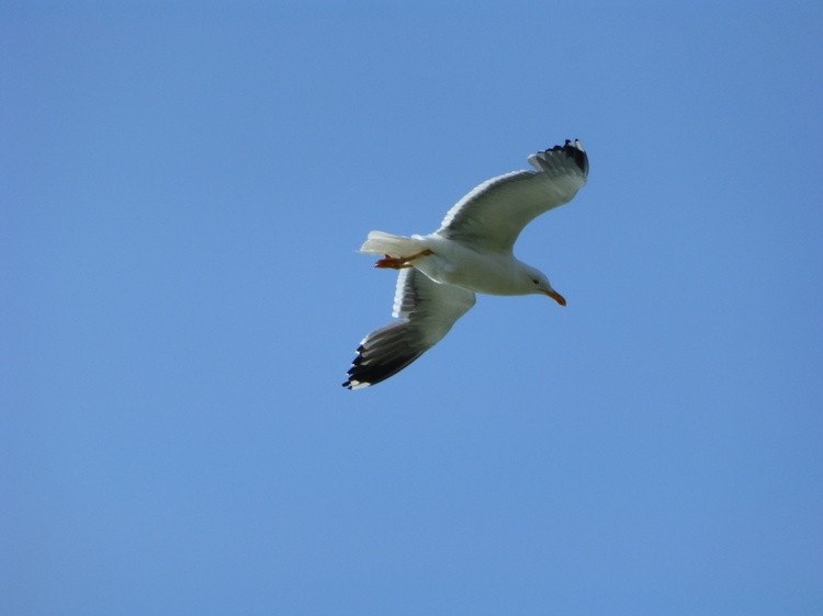 P1080115