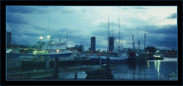 nite harbour