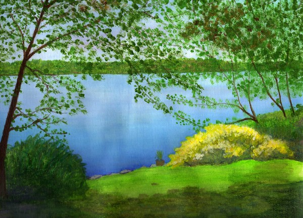 Kathy's back yard