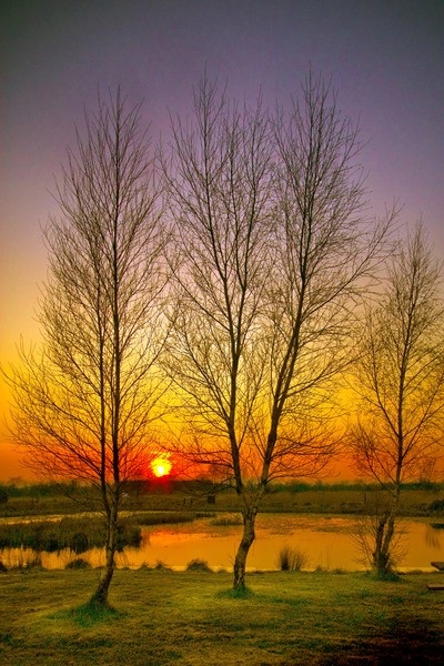 Sunset at Cabra Wetlands