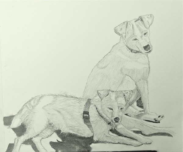 Doggie Doodles