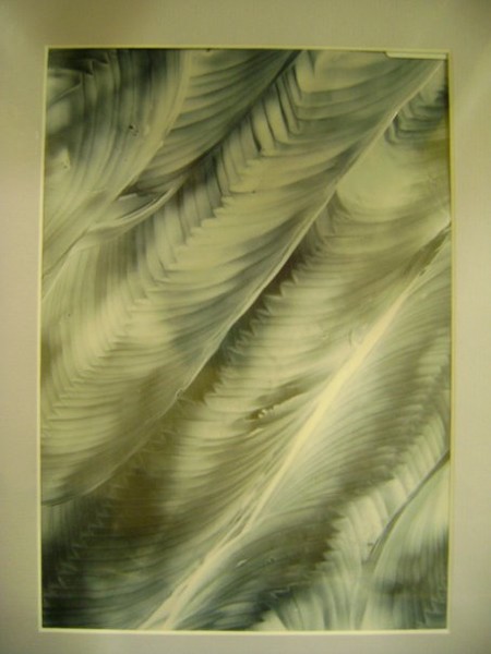 Angels Wings