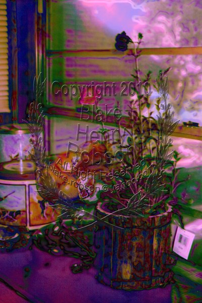 Live Flower Arrangement