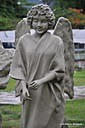 The Angel