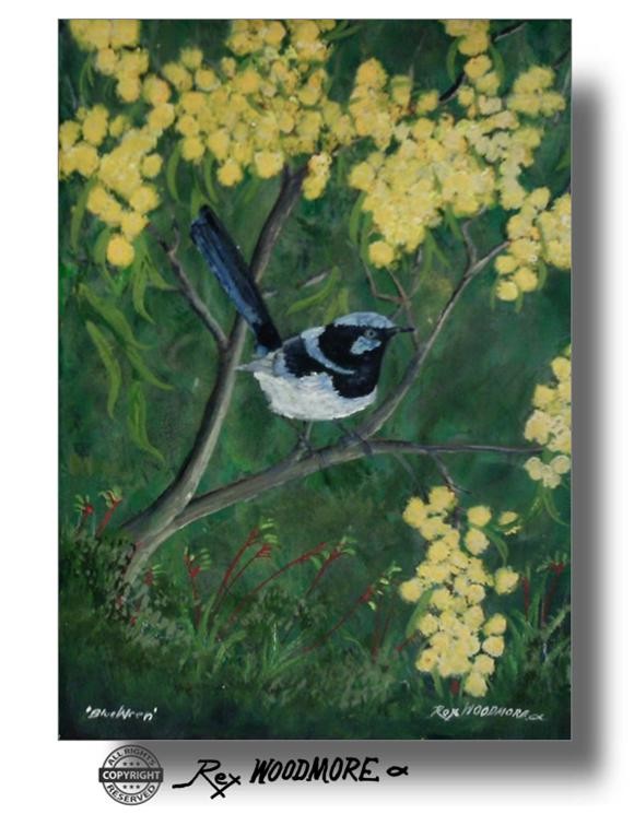 Blue Wren