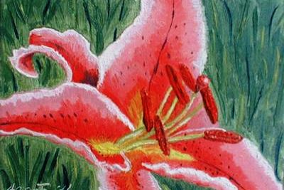 Lily Blossoms - April