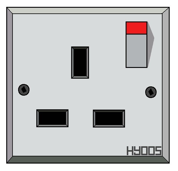 Plug