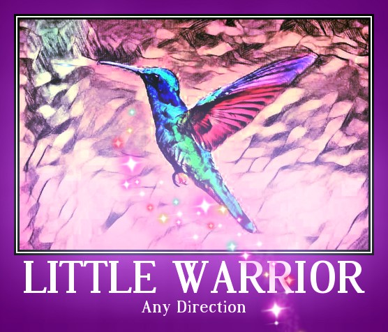 Little Warrior