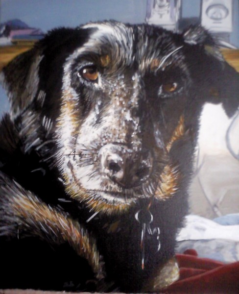 Dog Close Up