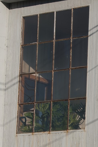 Window