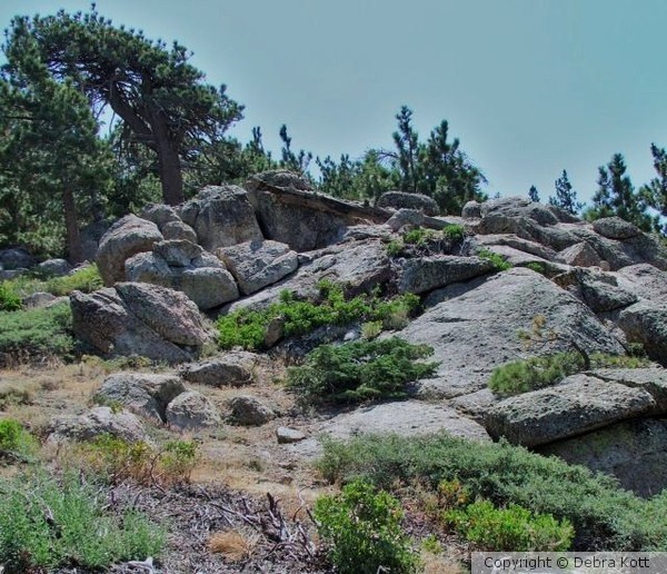 Rocky Path