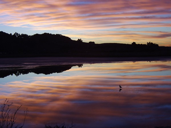 Sunset Reverie