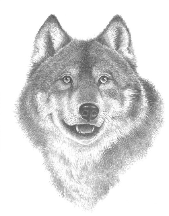 54