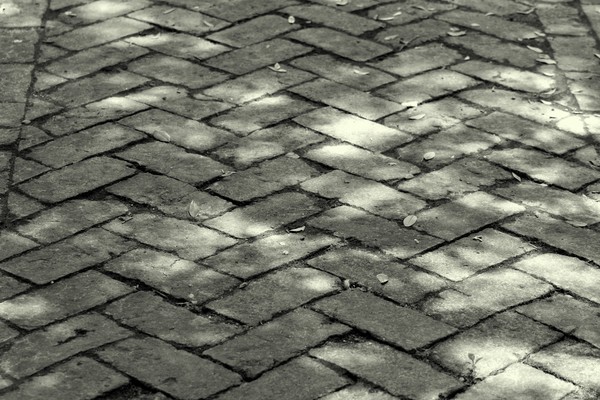 Pathway
