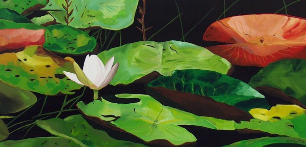 Bloom