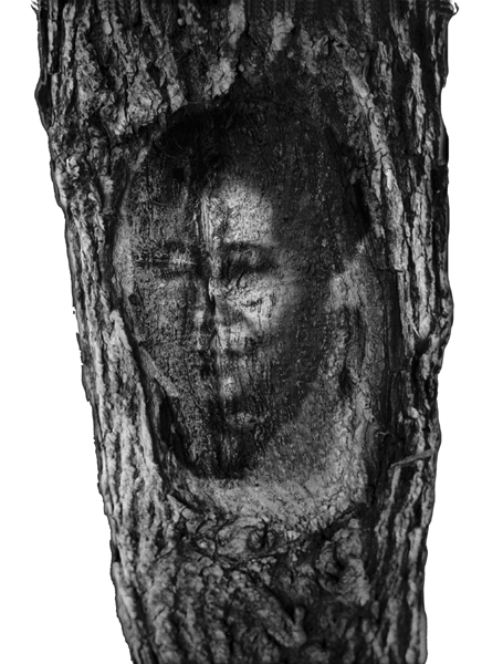 Ancestor Trees