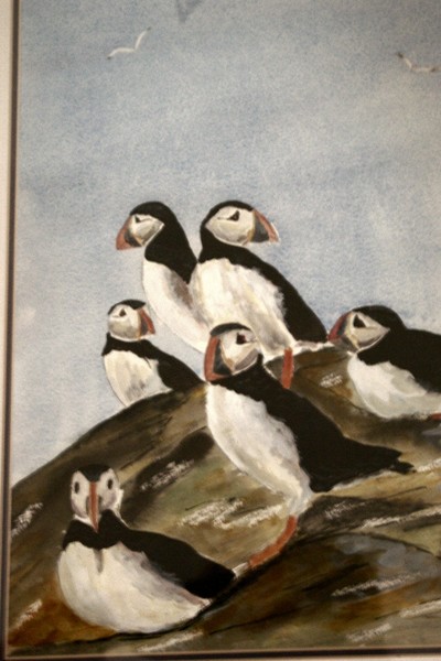 Puffins