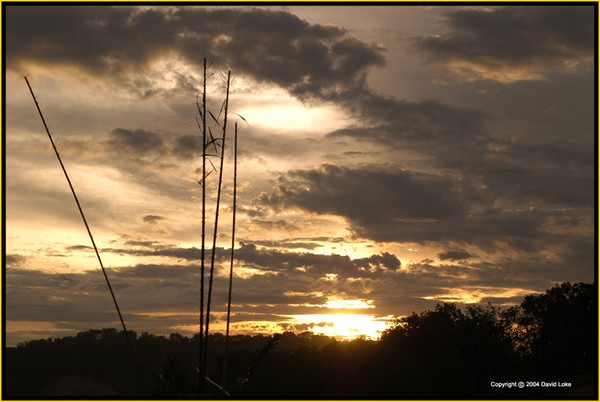 Sunset Landscape