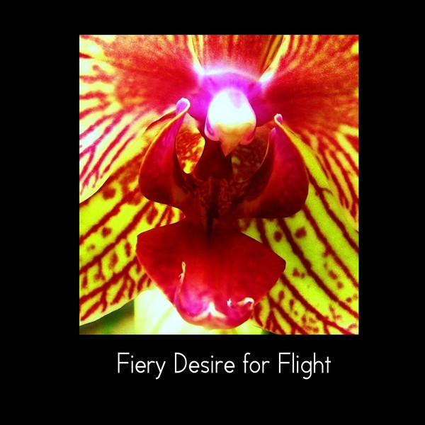 Fiery Desire for Flight