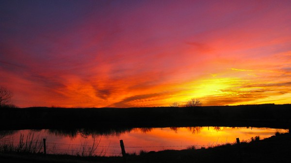 farmers pond