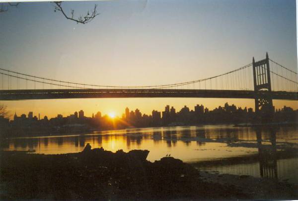 NYC-astoria
