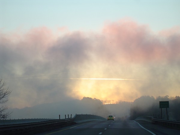 The Fog in Kentucky
