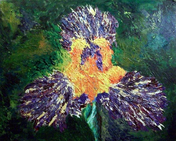 Purple Iris